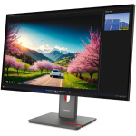 Lenovo ThinkVision P32UD-40 monitor, 32", 3840 x 2160, UHD, 120 Hz, 4 ms, 350 cd/m&sup2;, must