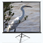 Elite Screens Projektsiooniekraan statiiviga T100UWV1, 100", 4:3, n&auml;htav laius 203 cm, must