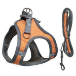 Besk Koera rihm 9146767, 48-55cm, oranž, reguleeritavad rihmad, kiire vabastamise klambrid, r&otilde;hu jaotamine