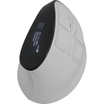 Natec Euphonie Pro NMY-2378, vertikaalne hiir, 2.4 GHz, Bluetooth, 2400 DPI, 9 nuppu, OLED-ekraan, juhtmevaba vastuv&otilde;tja