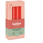 Bolsius Laua k&uuml;&uuml;nlad 37001841 &Oslash; 20mm, 170mm, 8 tk, P&otilde;lemisaeg 5 h
