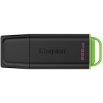 Kingston USB m&auml;lupulk DTXG2/256GB, 256 GB, USB Type-A, must