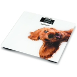 Zelmer Vannitoakaal ZBS1010 60705631P, 180 kg, 2,5-180 kg, 100 g, LCD taustvalgustusega, karastatud klaas, automaatne v&auml;ljal&uuml;litus