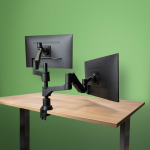 MONITOR ACC ARM CAPARO DUAL/RGOVLCA4TWSI R-GO TOOLS