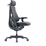 LiberNovo Omni GEN 48 cm Ergonomic Chair (Graphite)