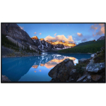 Dell LCD monitor 210-BLBT 60.5 cm (23.8") FHD 1920 x 1080 IPS, 8 ms, 250 cd/m&sup2;, 1000:1, USB, HDMI, DisplayPort, VESA