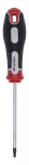 Kruvikeeraja TORX T15 100mm Kreator