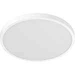 Xiaomi Nutikas laelamp D20 BHR07RIGL, 17 W, 900 lm, 2700-5700 K, IP50, Wi-Fi, valge
