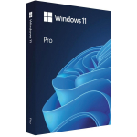 Microsoft Windows 11 Professional BOX USB PL HAV-00209, USB m&auml;lupulk, 4 TB, 1 litsents, 1000 GHz, 64 GB, 12.0