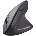 Trust Verto Office juhtmevaba optiline hiir 22879, 1600 DPI, 2.4GHz, 10m, 6 nuppu, ergonoomiline, paremale k&auml;ele