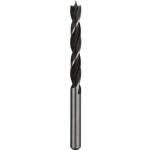 Bosch PRO Puidupuur 2608577715, 12mm, 151mm, 110mm, 10mm, tsentreeriv ots, kaks soont, silindriline vars