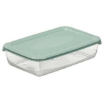 Nhg S&auml;ilituskonteiner 2750008, 114mm, 114mm, 56mm, 0.46l, Roheline, Plastmass, Polar Box, 1