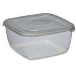 Nhg S&auml;ilituskonteiner Polar box 2724146, 460ml, hall, PP, 114x114x56mm, 1 &uuml;hik