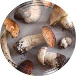 Twist off kaas &Oslash;66, seente disain, 1000 tk. BROWIN 136322