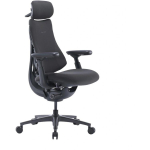 LiberNovo Omni Pro 48 cm Ergonomic Chair (Graphite)