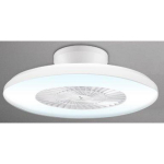 Beper laeventilaator P206VEN650, 60cm, 40W, 3 kiirus, taimer, kaugjuhtimispult