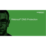 Webroot DNS Kaitse GSM Konsooliga 152300001A, 1 aasta, 1-9 kasutajat, tellimuse litsents