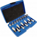 Padrunite komplekt TORX 19 tk.; SK-019-03 SILVER