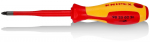 Skrūvgriezis (plāns) PZ2, KNIPEX, 98 25 02 SL, 100 mm asmens garums, ergonomisks rokturis