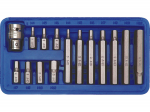 Uzgriežņu skrūvgriežu bitu komplekts H4-H12, VOREL, 66720, 15 gab., CrV 6150, 3/8" un 1/2" izmērs