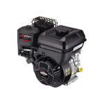 Dzinējs 2550.sēr.127cc(h)19,05/61.5mm 831320011 BRIGGS & STRATTON