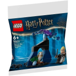 LEGO 30677 Harry Potter Draco Keelatud metsas, ehituskomplekt, 33 t&uuml;kki, alates 6. eluaastast