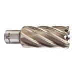 HHS GREDZENURBJI 50 MM, HSSAC 29 X 50 - 1 PC, 4932343304 MILWAUKEE