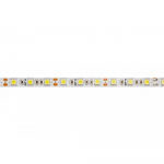 LED-riba FLASH 5050, 300 LED, 6500K, 72W, 900 lm/1m, IP20, 10mm, 5m m&auml;his, DC12V LD-5050-300-20-ZB GTV