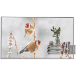 Lg Digitaalne reklaam 55EW5P-MwDongle, 55", 178&deg;, 600 cd/m&sup2;, webOS, 8 ms, 18/7, OLED