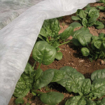 Agrofilm 30 g/m2 ORTOCLIMA PLUS 1,60 x 10m 73360031