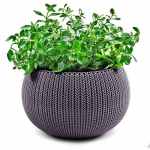 Lillepott rippuv Cozy M riputuskomplektiga lilla 29202379610 KETER