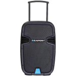 Blaupunkt PA12, helis&uuml;steem, BLAUPUNKT PA12, 650 W, Bluetooth, FM, karaoke funktsioon, 3.5 h aku t&ouml;&ouml;aeg