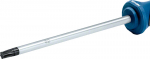 Kruvikeeraja TX 40x125 1600A01V0F BOSCH