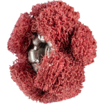 T&auml;htede kiudude lihvpink 19/2mm A280, PFERD, 899205, 25 mm, 10000/min, <19100/min