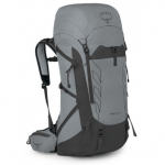Mugursoma Talon Pro 40, izmērs: S/M, Silver Lining, 0843820179293 Osprey