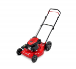 Bensiinimootoriga muruniiduk 53cm WYS21H-LC1P65FE-B20 WORLD