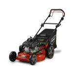 Bensiinimootoriga muruniiduk 56cm 196cc WYZ22H2-LC1P70F-B01 WORLD