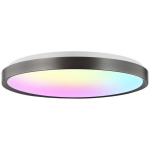 Yeelight nutikas laelamp YLXDD-0273, 3800lm, 60W, 2700K-6500K, IP20, RG0, nutika kodade integreerimine