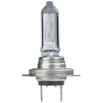 All Ride auto valgus H7 2427874, 12V, 55W, PX26d, 1 tk.