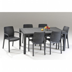 Aialaud Melody pruun