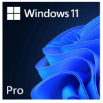 Microsoft Windows 11 Pro FQC-10572, ESD, 1 litsents, Windows 11 Pro - 64-bit, k&otilde;ik keeled