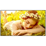 LG LCD monitor 86UL5Q-E 3840 x 2160, 500 cd/m&sup2;, 24/7, 3 HDMI, 2 k&otilde;larit, webOS 6.1, Wi-Fi, VESA