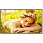 LG LCD monitor 65UL5Q-E 65" 3840 x 2160 UHD, 500 cd/m&sup2;, 24/7, webOS 6.1, 3 HDMI, 2 k&otilde;larit, VESA