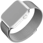 Fixed Korpus Apple Watch 42/44/45/46/49mm FIXMEST-434-SL, 1, Roostevaba teras, Hingav