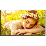 LG Monitor 55UL5Q-E, 55 tolli, 3840x2160, 500 cd/m2, 1200:1, 1 x RJ-45, VESA 300 x 300