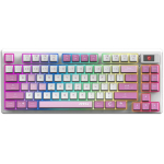 Msi klaviatuur FORGE GK600 TKL W VIOLET 2.4GHz, Bluetooth, USB, 83 nuppu, RGB LED, N-key rollover, 4000mAh aku