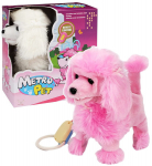 Puudlipoeg Rihma Otsas