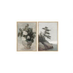 Kaheosaline reproduktsioon Huhu275