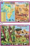 Edu pad. 032 - Aafrika, Sahara loomad.. - Visuaalne s&uuml;steem