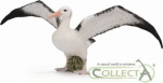 R&auml;ndav albatross - Collecta